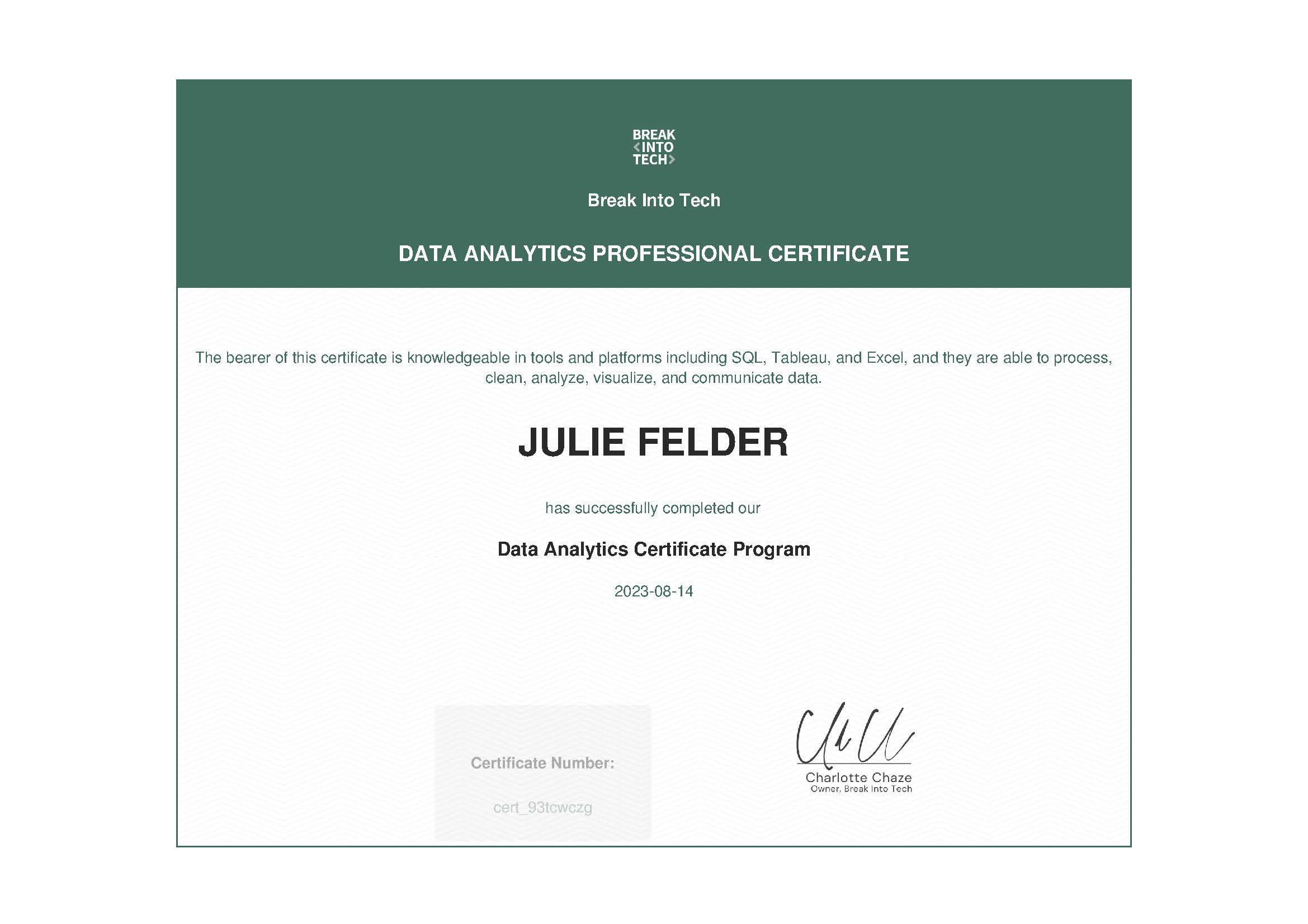 break-into-tech-data-analytics-professional-certificate (1)